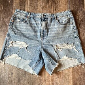 American Eagle Baggy Mom Short
